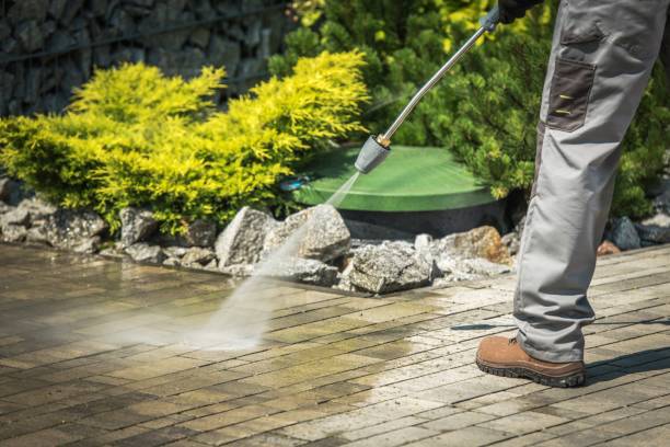 Best Warehouse Cleaning  in Maxwell, CA