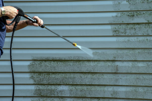 Best Solar Panel Cleaning  in Maxwell, CA